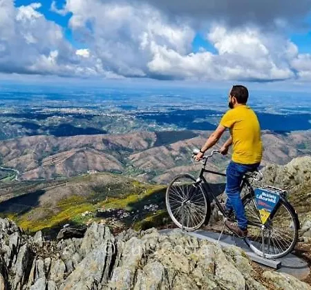 Quinta Da Cavada - Medronh'al Semesterbostad