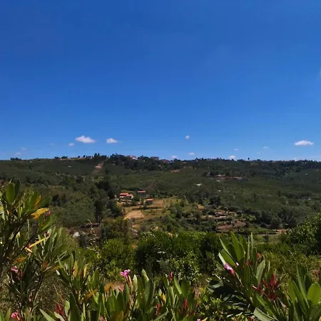 Quinta Da Cavada - Medronh'al Oliveira do Hospital