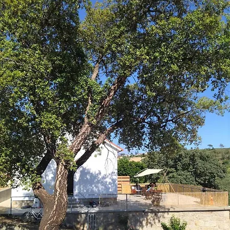 Holiday home Quinta Da Cavada - Medronh'al *