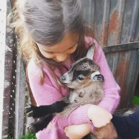 Quinta Da Cavada - Medronh'al * Oliveira do Hospital