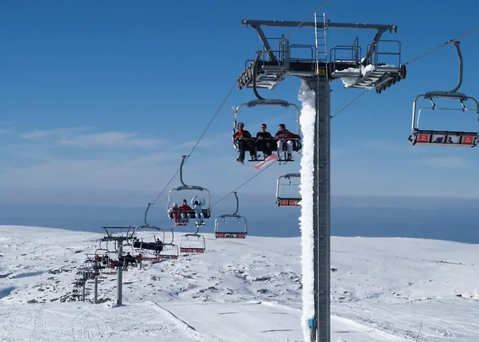Feriehus Quinta Da Cavada - Medronh'al Oliveira do Hospital