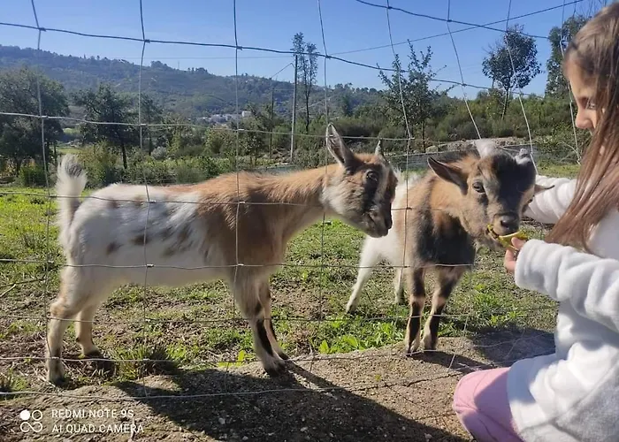 Feriehus Quinta Da Cavada - Medronh'al