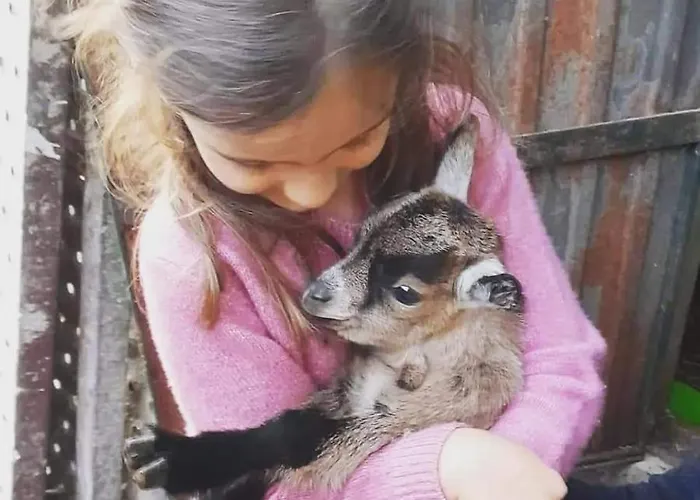 Quinta Da Cavada - Medronh'al * Oliveira do Hospital